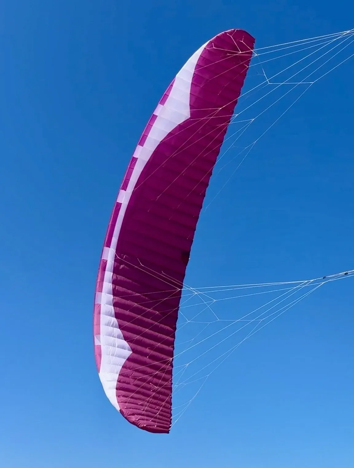 Gin Instinct V2s 2025